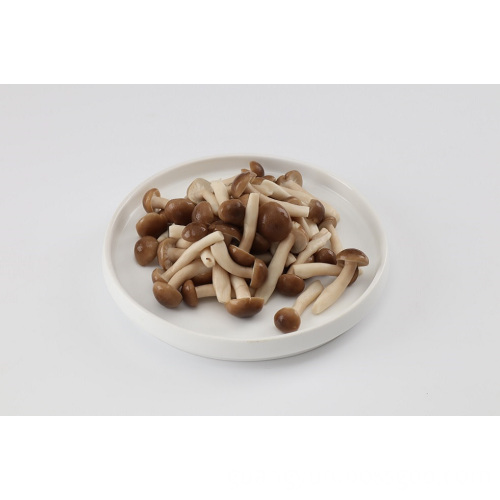 Frozen Fresh Cut Beech Mushroom-1kg